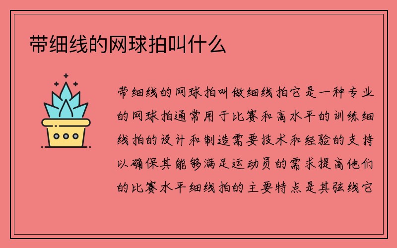 带细线的网球拍叫什么