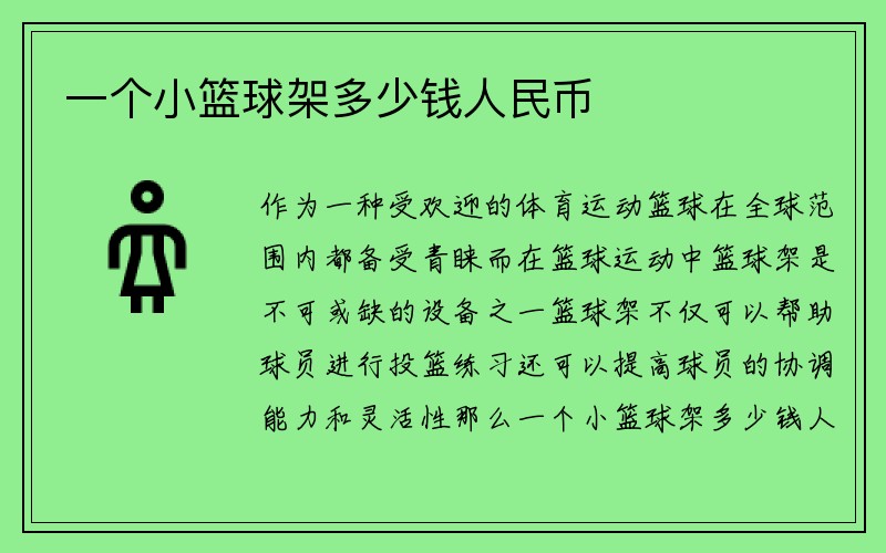 一个小篮球架多少钱人民币